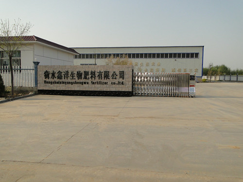 公司風(fēng)貌 公司風(fēng)貌